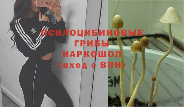 гашик Магадан