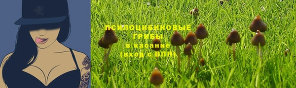 mdma Магас