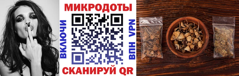 Псилоцибиновые грибы Psilocybe  Дудинка 